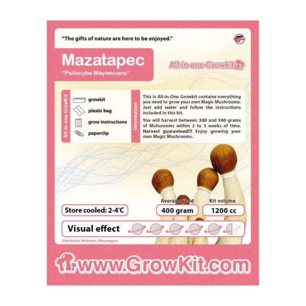 buy-mazatapec-Mushroom-Grow-Kit.jpg